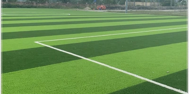 Mặt Cỏ Hỗn Hợp: Giải Pháp Đột Phá Cho Sân Bóng Hiện Đại Năm 2025 2 Mặt Cỏ Hỗn Hợp