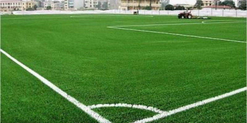 Mặt Cỏ Hỗn Hợp: Giải Pháp Đột Phá Cho Sân Bóng Hiện Đại Năm 2025 4 Mặt Cỏ Hỗn Hợp